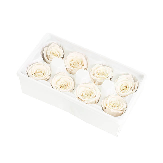 Amore Forever Preserved Rose Heads 8 PCS White (4-5cmD)