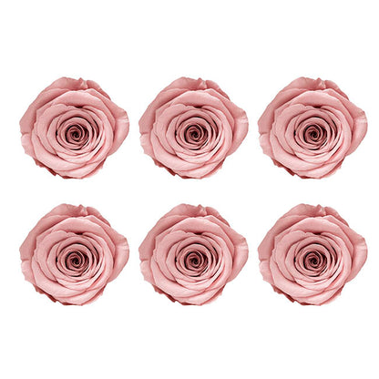 Amore Forever Rose Heads Pack 6 Dusty Pink (5-6cmD)
