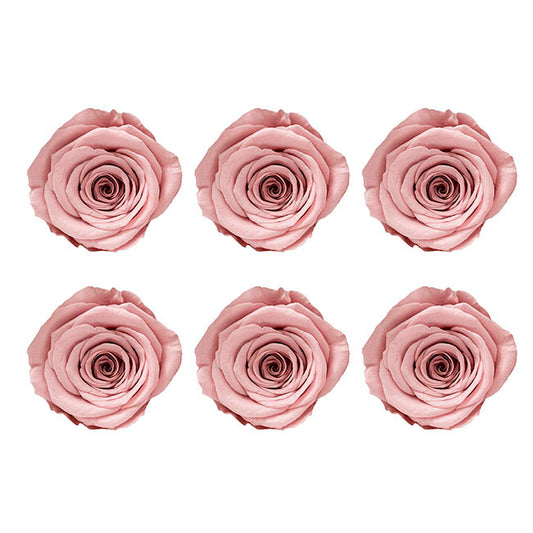 Amore Forever Rose Heads Pack 6 Dusty Pink (5-6cmD)