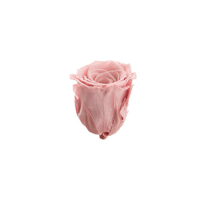 Amore Forever Rose Heads Pack 6 Dusty Pink (5-6cmD)