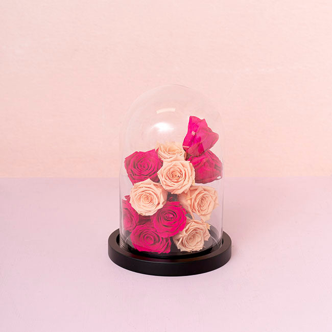 Amore Forever Rose Heads Pack 6 Hot Pink (5-6cmD)