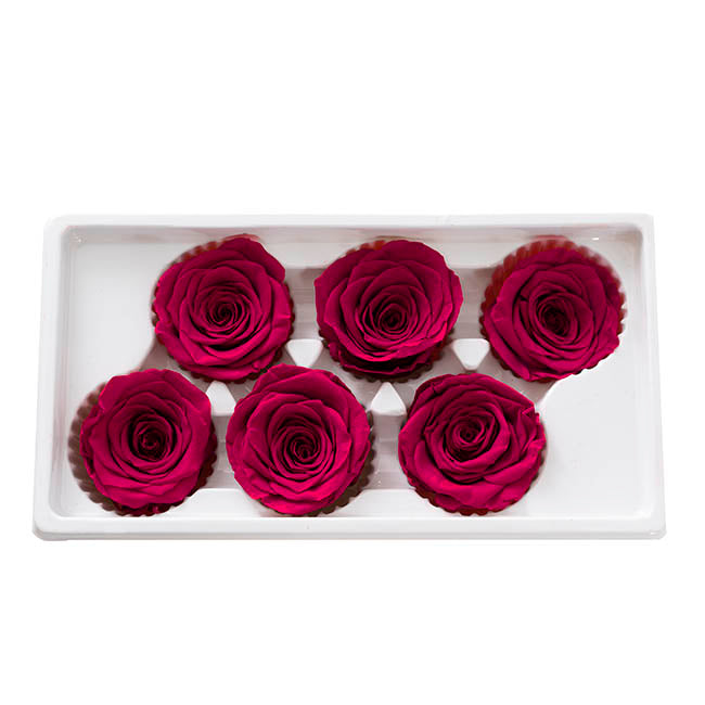 Amore Forever Rose Heads Pack 6 Hot Pink (5-6cmD)