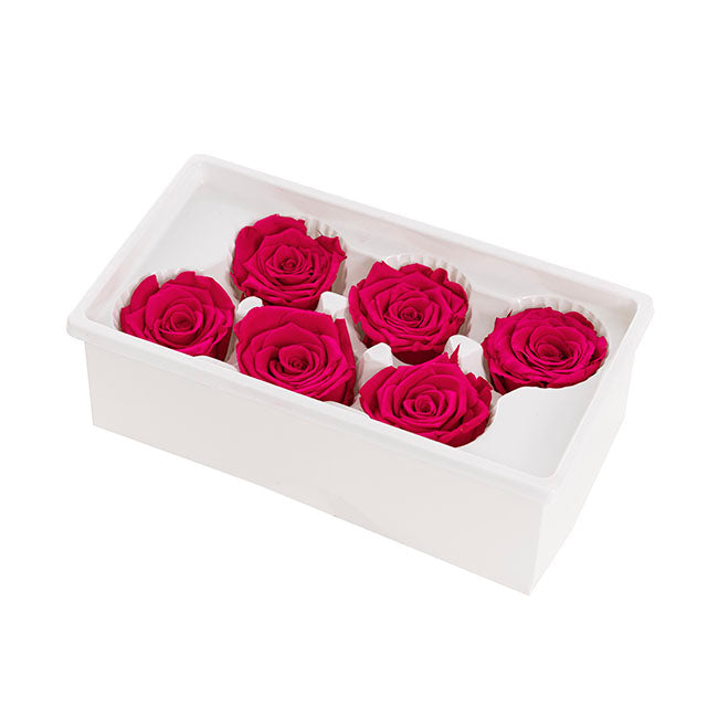 Amore Forever Rose Heads Pack 6 Hot Pink (5-6cmD)
