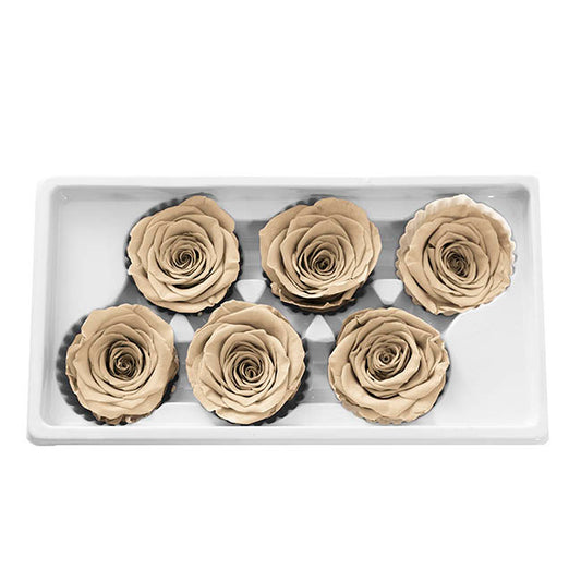 Amore Forever Rose Heads Pack 6 Nude (5-6cmD)