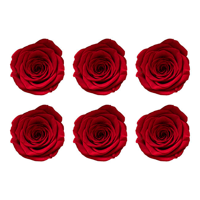 Amore Forever Rose Heads Pack 6 Red (5-6cmD)