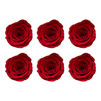 Amore Forever Rose Heads Pack 6 Red (5-6cmD)