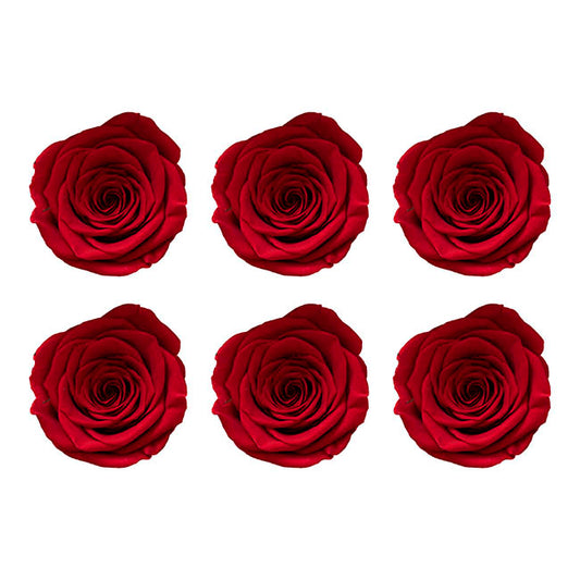 Amore Forever Rose Heads Pack 6 Red (5-6cmD)