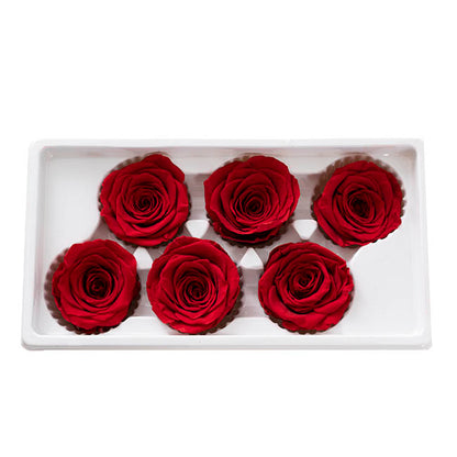 Amore Forever Rose Heads Pack 6 Red (5-6cmD)