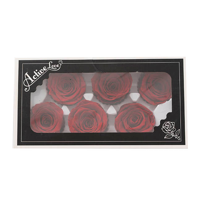 Amore Forever Rose Heads Pack 6 Red (5-6cmD)