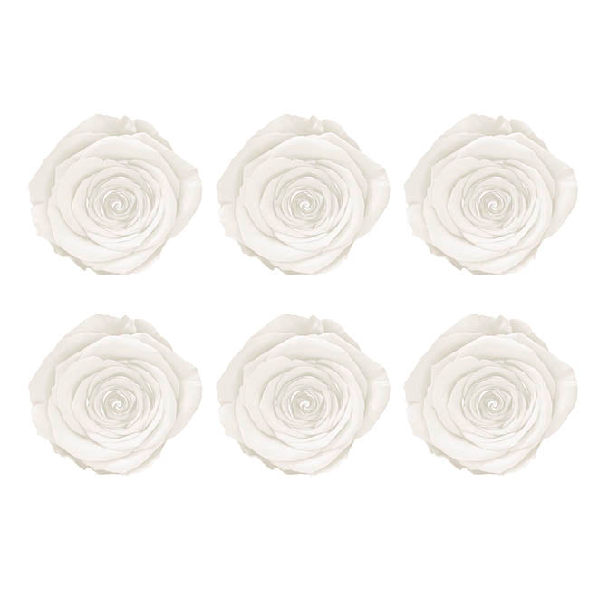 Amore Forever Rose Heads Pack 6 White (5-6cmD)