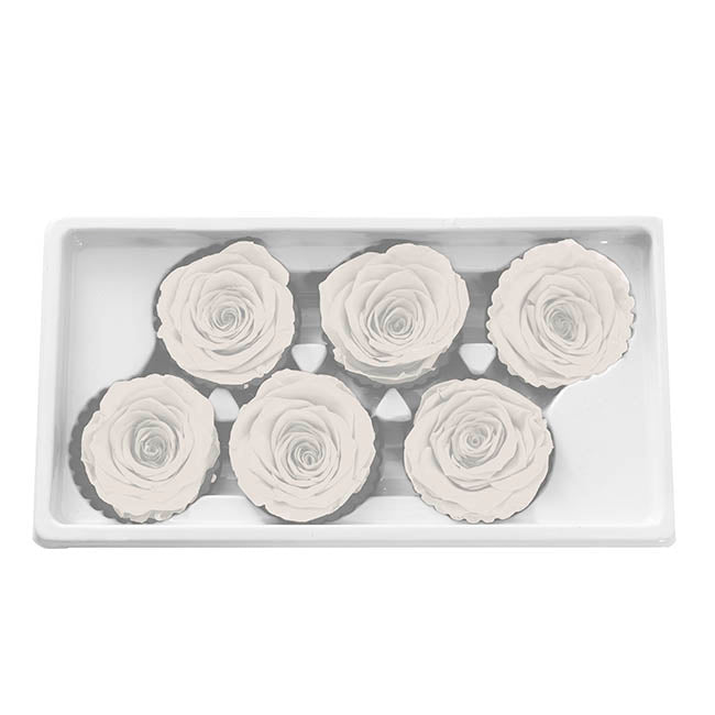 Amore Forever Rose Heads Pack 6 White (5-6cmD)