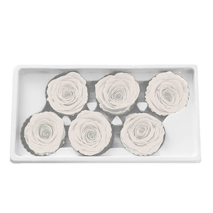 Amore Forever Rose Heads Pack 6 White (5-6cmD)