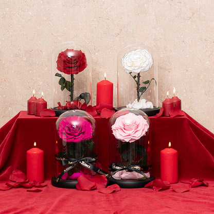 Amore Forever Rose Single Stem Cloche Hot Pink (12cmDx20cmH)