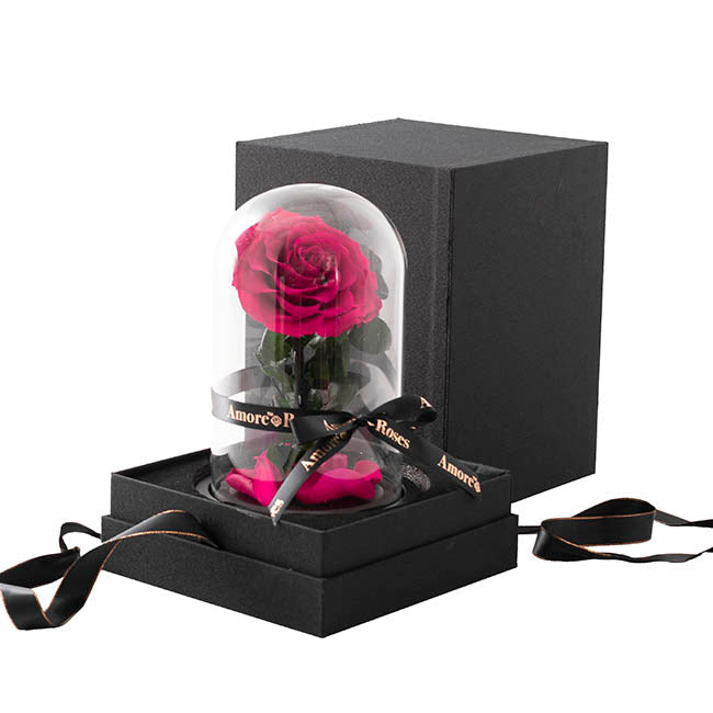 Amore Forever Rose Single Stem Cloche Hot Pink (12cmDx20cmH)