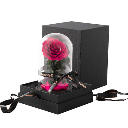 Amore Forever Rose Single Stem Cloche Hot Pink (12cmDx20cmH)