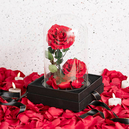 Amore Forever Rose x2 Stem Cloche Red (17Dx26cmH)