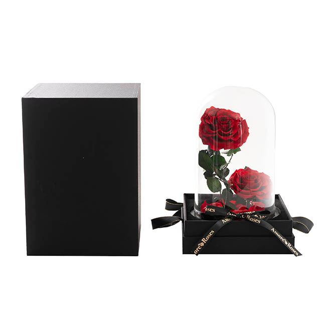 Amore Forever Rose x2 Stem Cloche Red (17Dx26cmH)