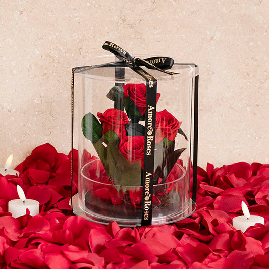 Amore Forever Rose x4 Stem Acrylic Box Red (20Dx17cmH)