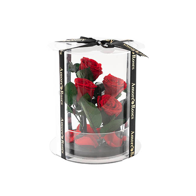 Amore Forever Rose x4 Stem Acrylic Box Red (20Dx17cmH)