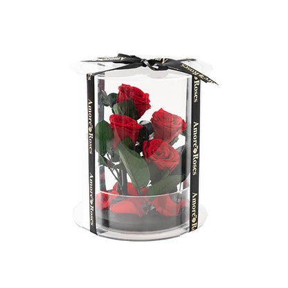 Amore Forever Rose x4 Stem Acrylic Box Red (20Dx17cmH)