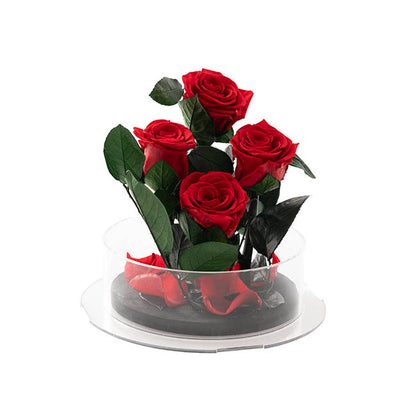 Amore Forever Rose x4 Stem Acrylic Box Red (20Dx17cmH)