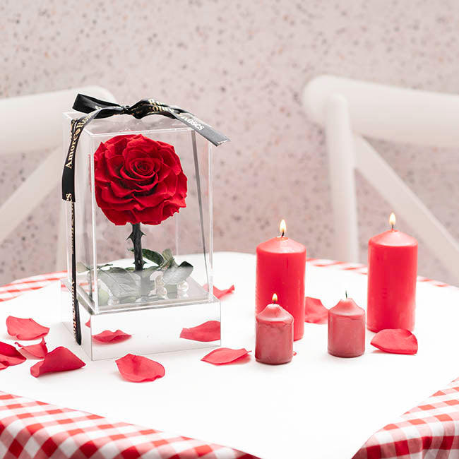 Amore Forever Rose Single Stem  Acrylic Box Red (13x22cmH)