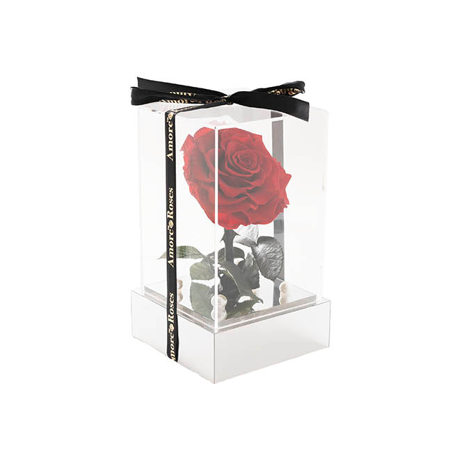 Amore Forever Rose Single Stem  Acrylic Box Red (13x22cmH)
