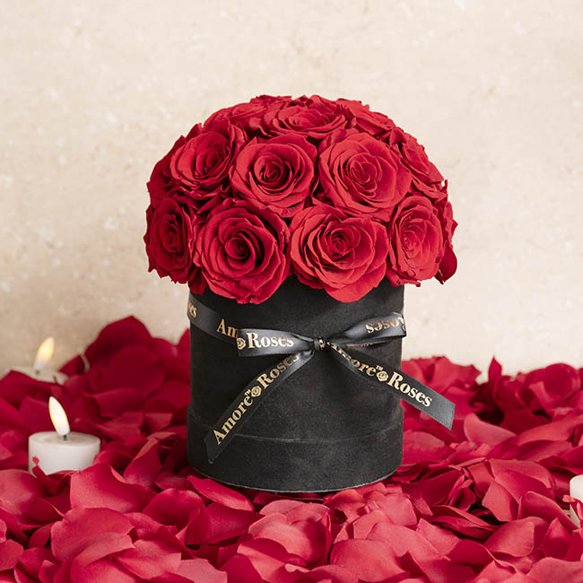 Amore Forever Rose x24 Head Window Box Red (28x33cmH)