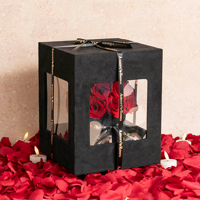 Amore Forever Rose x24 Head Window Box Red (28x33cmH)