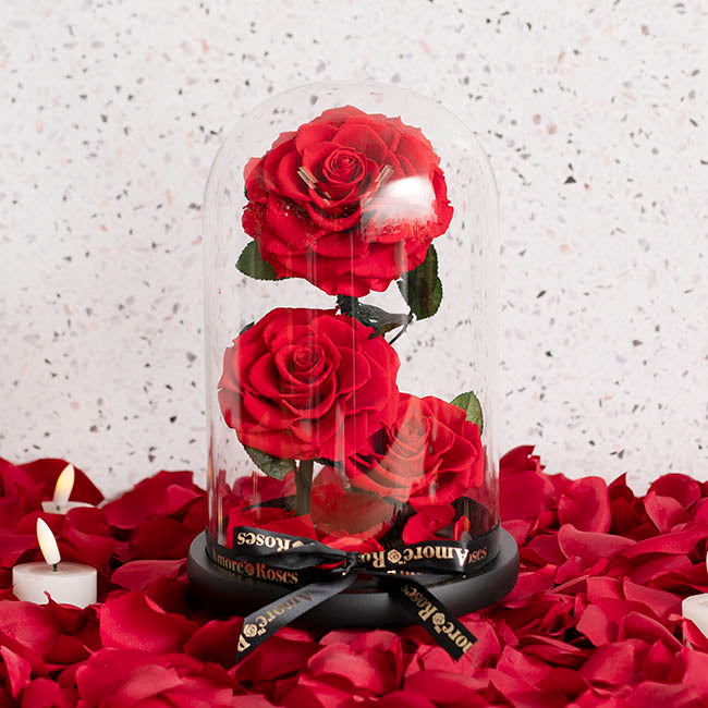 Amore Forever Rose 3 Stem Cloche Red (17x26cmH)