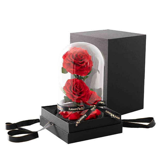 Amore Forever Rose 3 Stem Cloche Red (17x26cmH)
