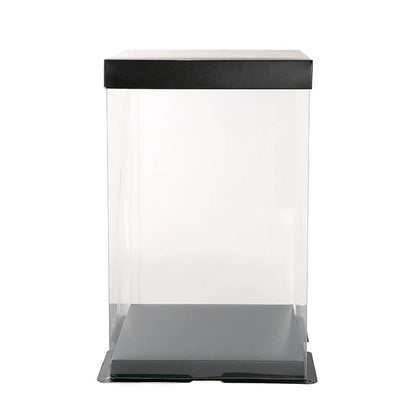 Amore Display Window Box Black (25cmH)