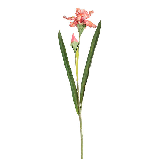 Iris Flower w Bud Stem Hot Pink (14cmDx85cmH)