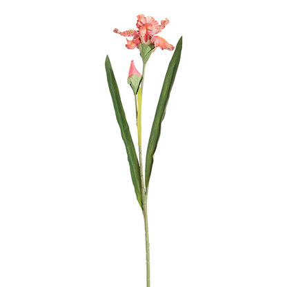 Iris Flower w Bud Stem Hot Pink (14cmDx85cmH)