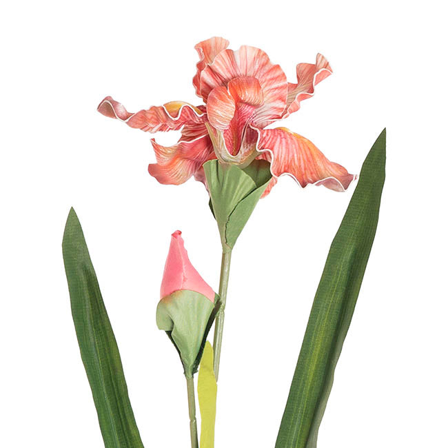 Iris Flower w Bud Stem Hot Pink (14cmDx85cmH)