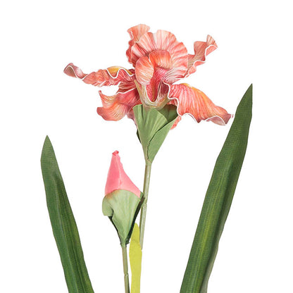 Iris Flower w Bud Stem Hot Pink (14cmDx85cmH)