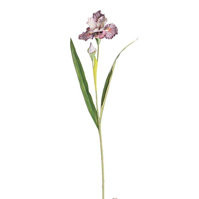 Iris Flower w Bud Stem Ombre Purple (14cmDx85cmH)