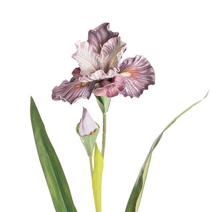 Iris Flower w Bud Stem Ombre Purple (14cmDx85cmH)