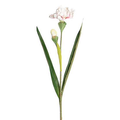 Iris Flower w Bud Stem White (14cmDx85cmH)