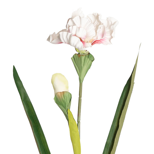 Iris Flower w Bud Stem White (14cmDx85cmH)
