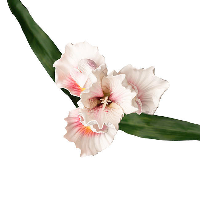 Iris Flower w Bud Stem White (14cmDx85cmH)