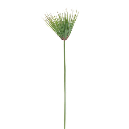 Cyperus Umbrella Papyrus Leaf Spray Green (80cmH)