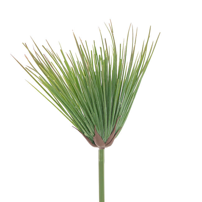 Cyperus Umbrella Papyrus Leaf Spray Green (80cmH)