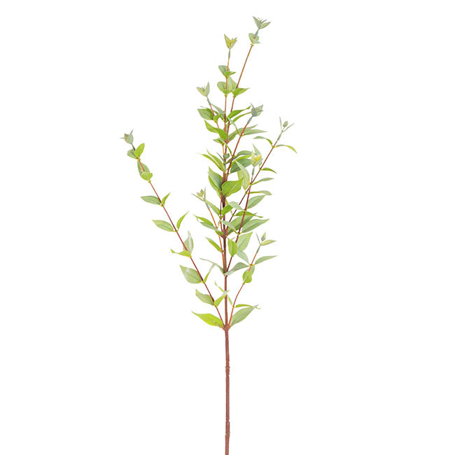 Myrtle Leaf Spray Real Touch Green (70cmH)