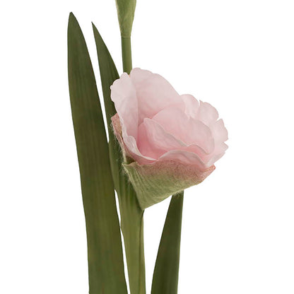Iris Real Touch Stem Soft Cream Pink (78cmH)
