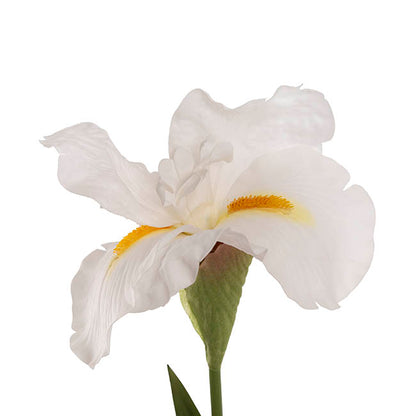 Iris Real Touch Stem White (78cmH)