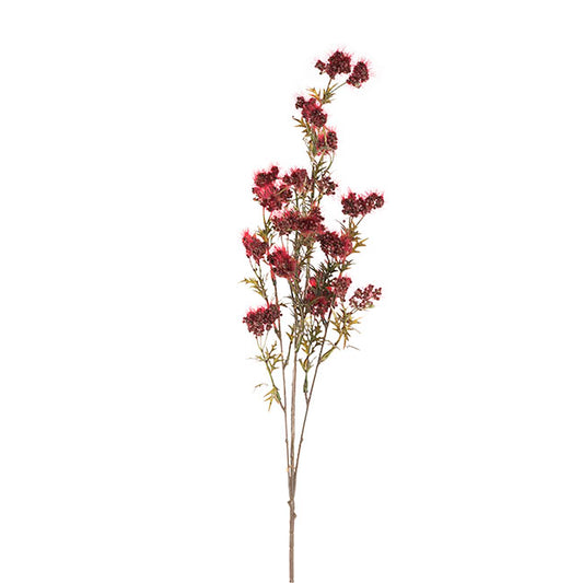 Albizia Julibrissin Flower Spray Red (72cmH)