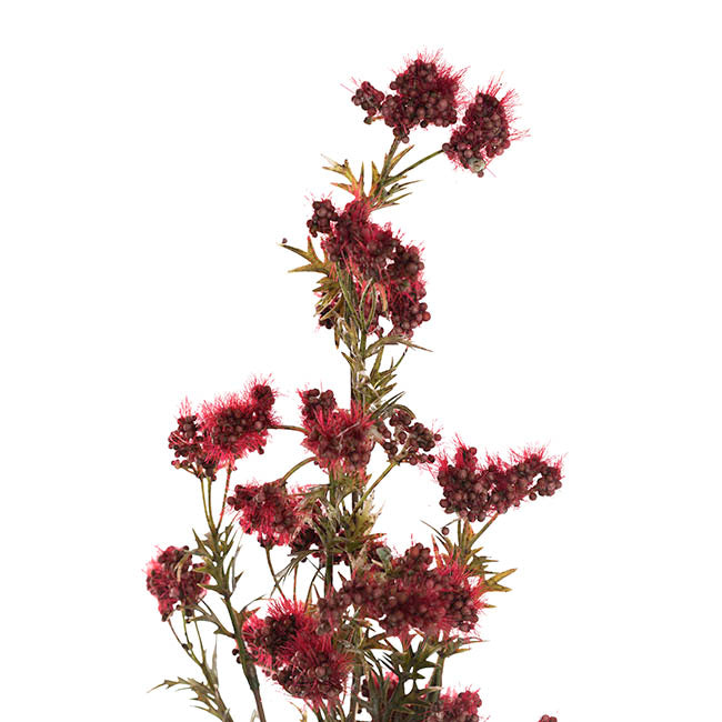 Albizia Julibrissin Flower Spray Red (72cmH)