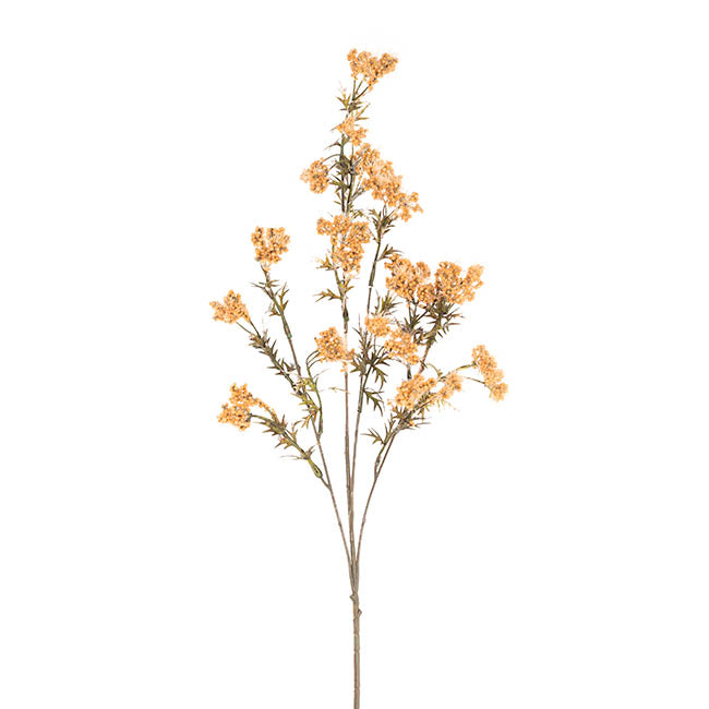 Albizia Julibrissin Flower Spray Mustard (72cmH)