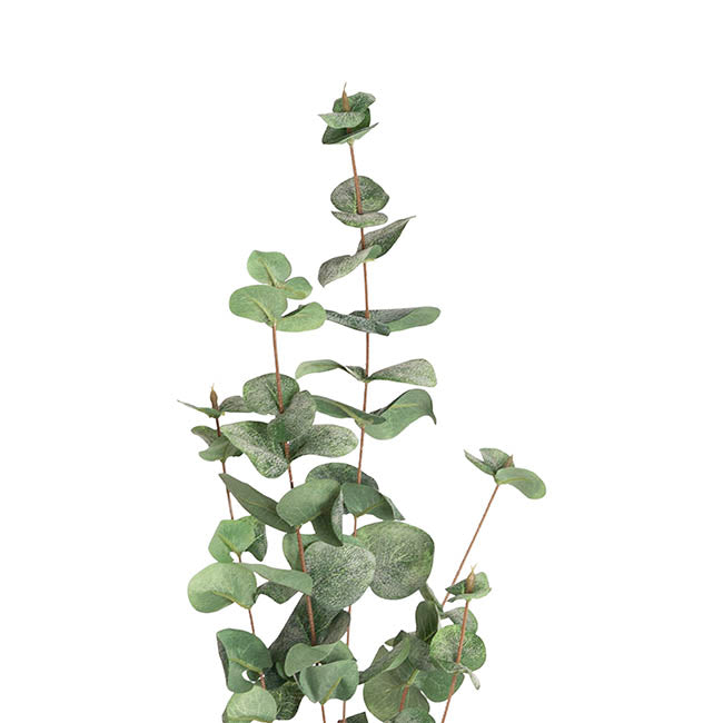 Eucalyptus Spray Green (98cmH)